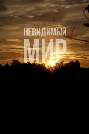 Постер к фильму Невидимый мир (2012)