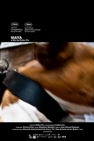 Постер к фильму Maya (2010)
