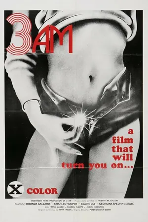 Постер к фильму 3 часа ночи (1975)