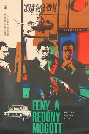 Постер к фильму Свет за шторами (1966)
