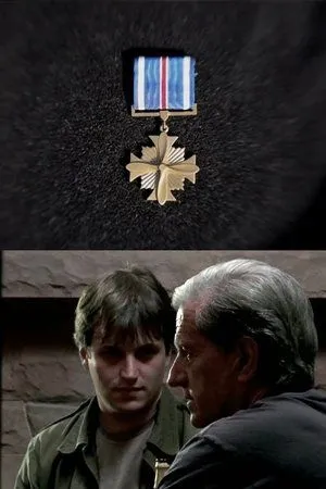 Постер к фильму Distinguished Flying Cross (2011)