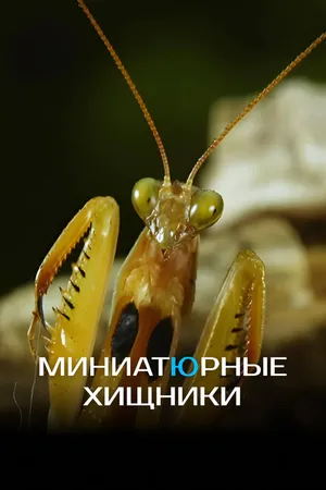 Постер к фильму Миниатюрные хищники (2019)