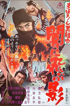 Постер к фильму Черный ниндзя (1967)