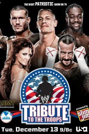 Постер к фильму WWE Дань войск (2011)