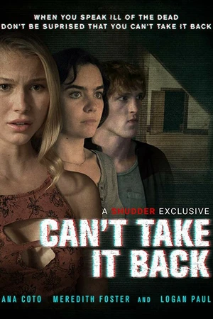 Постер к фильму Необратимое (2017)