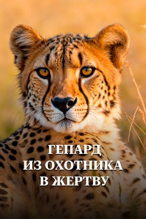 Постер к фильму Гепард. Из охотника в жертву (2016)