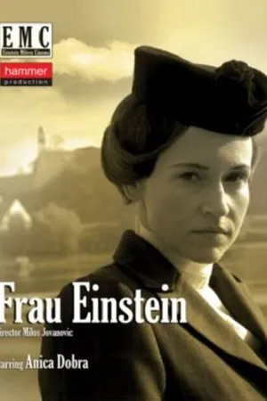 Постер к фильму Frau Ajnstajn (2011)