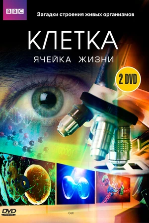 Постер к сериалу BBC: Клетка (2009)