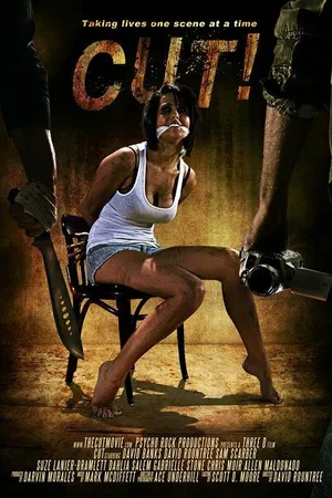 Постер к фильму Снято! (2014)