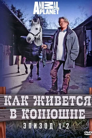 Постер к сериалу Как живется в конюшне (2006)