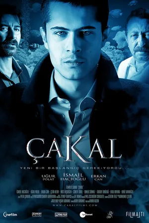 Постер к фильму Шакал (2010)