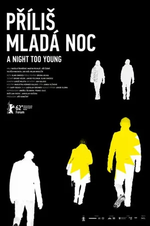 Постер к фильму Ночь слишком молода (2012)