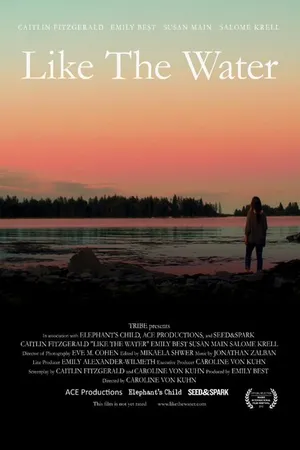 Постер к фильму Как вода (2012)