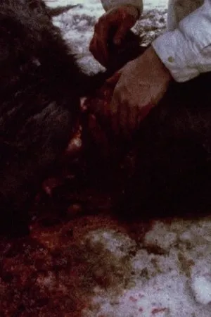Постер к фильму Pan 697 (1974)