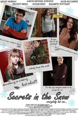 Постер к фильму Secrets in the Snow (2012)