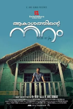 Постер к фильму Цвет неба (2012)