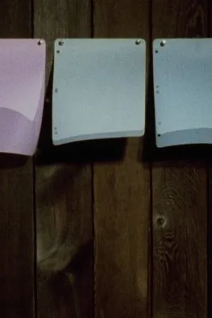 Постер к фильму Pan 4 (1974)