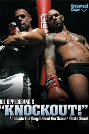 Постер к фильму Knockout! (2008)
