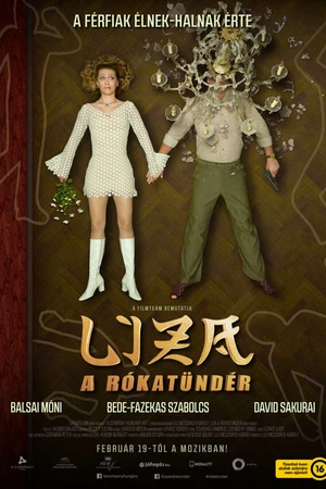 Постер к фильму Лиза-лиса (2015)
