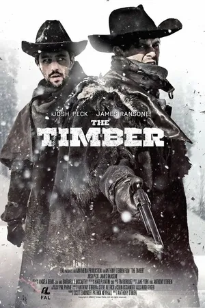 Постер к фильму Достоинство (2015)