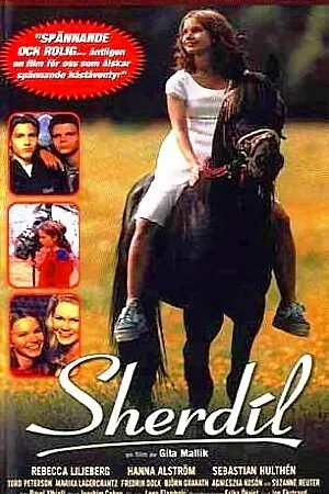 Постер к фильму Sherdil (1999)