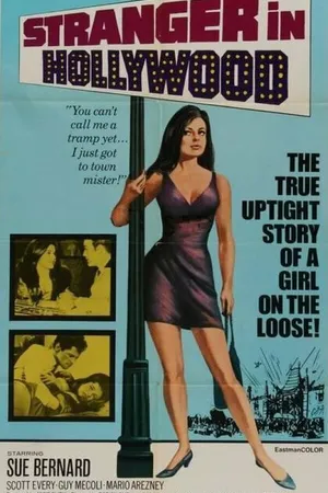 Постер к фильму Stranger in Hollywood (1968)
