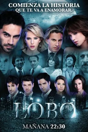 Постер к сериалу Волк (2012)
