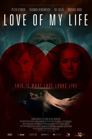 Постер к фильму Любовь моей жизни (2013)