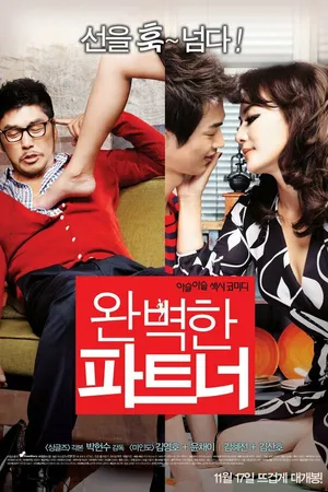 Постер к фильму Идеальный партнёр (2011)