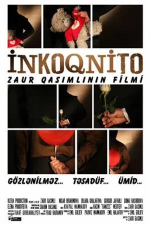 Постер к фильму Инкогнито (2012)