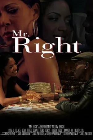 Постер к фильму Mr. Right (2011)