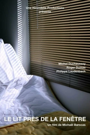 Постер к фильму Кровать возле окна (2009)
