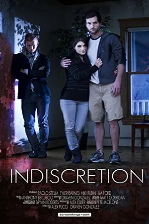 Постер к фильму Indiscretion (2013)