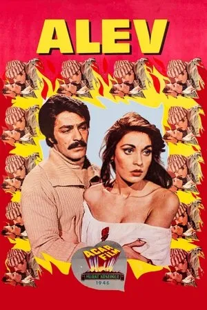 Постер к фильму Alev (1976)