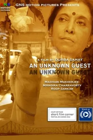 Постер к фильму An Unknown Guest (2011)