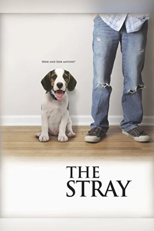 Постер к фильму The Stray (2012)