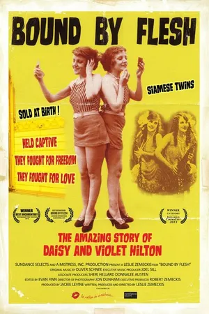 Постер к фильму Сиамские близнецы (2012)