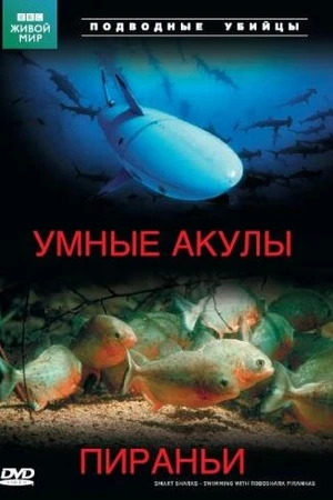 Постер к фильму Подводные убийцы. Умные акулы. Пираньи (2003)