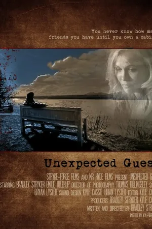 Постер к фильму Unexpected Guest (2012)