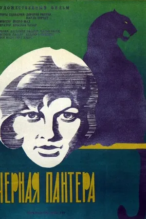 Постер к фильму Черная пантера (1966)