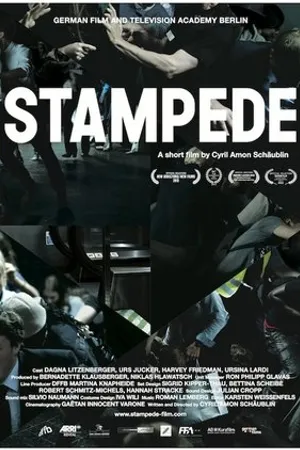 Постер к фильму Stampede (2012)