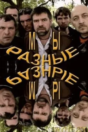 Постер к фильму Мы разные (2011)