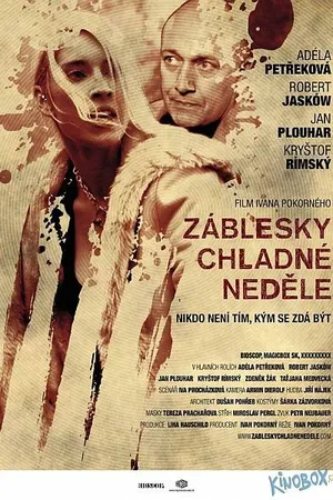 Постер к фильму Проблеск в холодном воскресенье (2012)