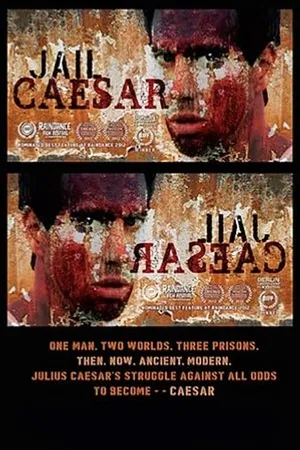Постер к фильму Код Цезаря (2012)