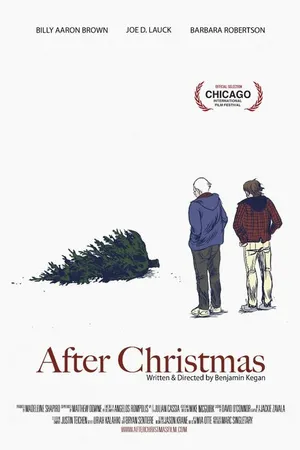 Постер к фильму After Christmas (2012)
