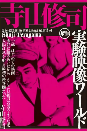 Постер к фильму Лаура (1974)