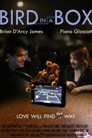 Постер к фильму Bird in a Box (2012)