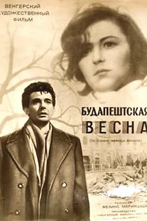 Постер к фильму Будапештская весна (1955)