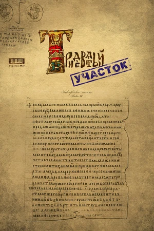 Постер к фильму Тридевятый участок (2009)