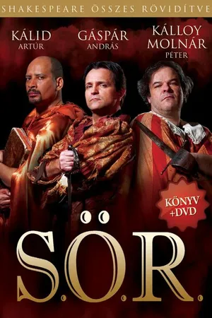 Постер к фильму S.Ö.R. (2012)